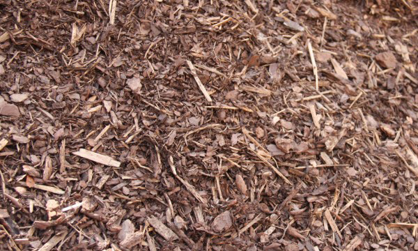 Detailbild von Rindenmulch